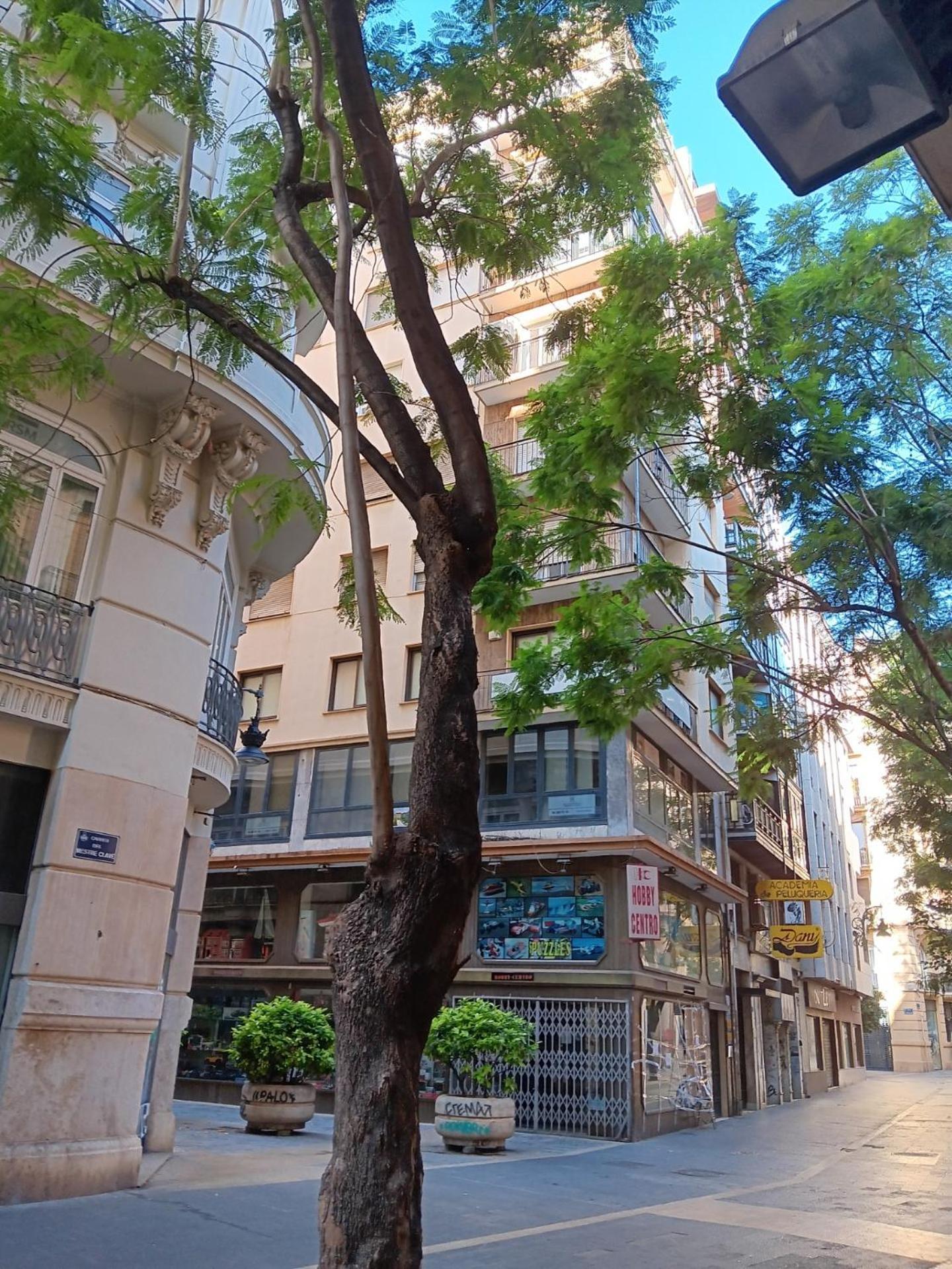 Apartamento Familiar Centro Historico Plaza Ayuntamiento "Ciutat Vella" 瓦伦西亚 外观 照片